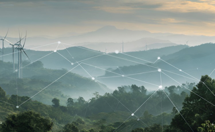 室外网桥解决方案